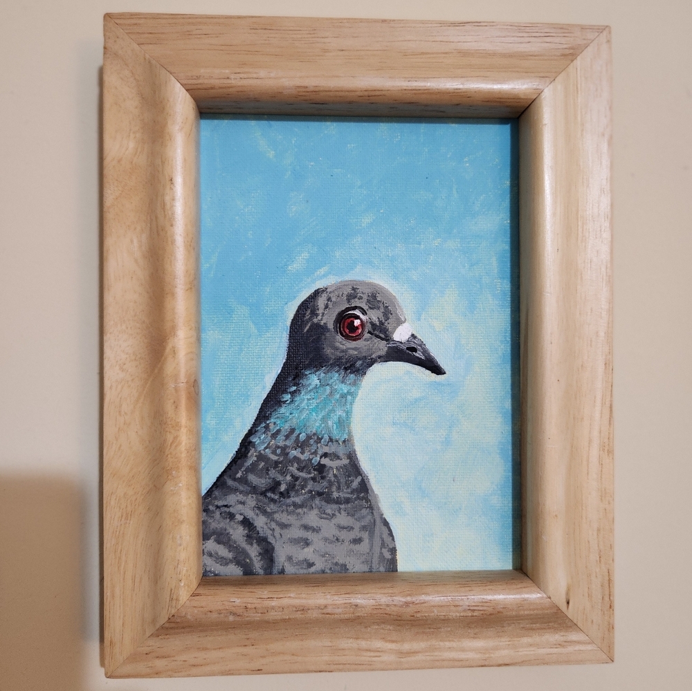 Original Acrylic signed painting of Pigeon